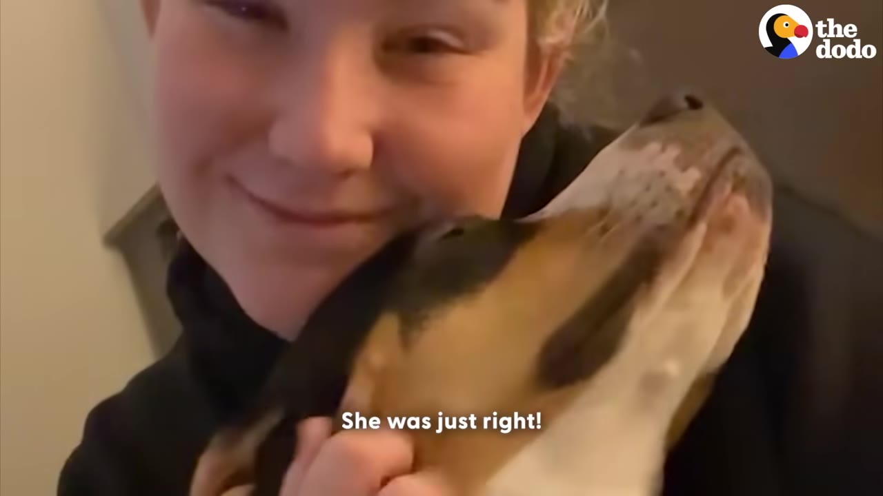A close-up shot of a smiling woman holding a brown, black, and white dog close to her face.