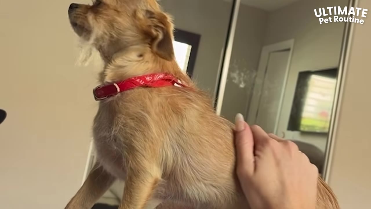 Video frame for A Future Filled With Joy