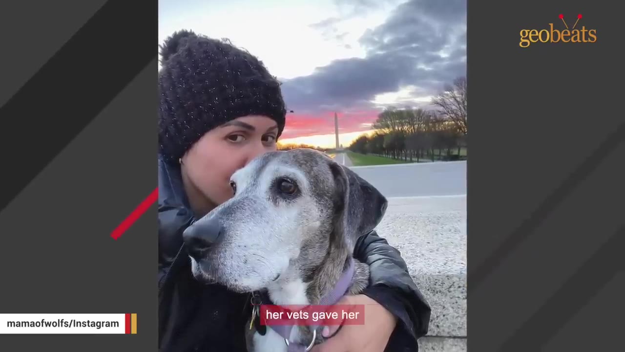 A close-up shot of a woman in a black knit beanie hugging a greyhound-mix dog with a sunset and the Washington Monument visible in the background.