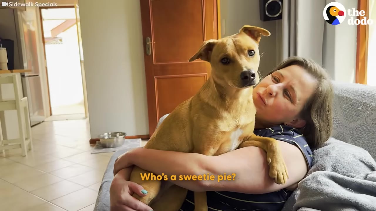 A light brown dog sits in the lap of a woman who is hugging her on a couch indoors.