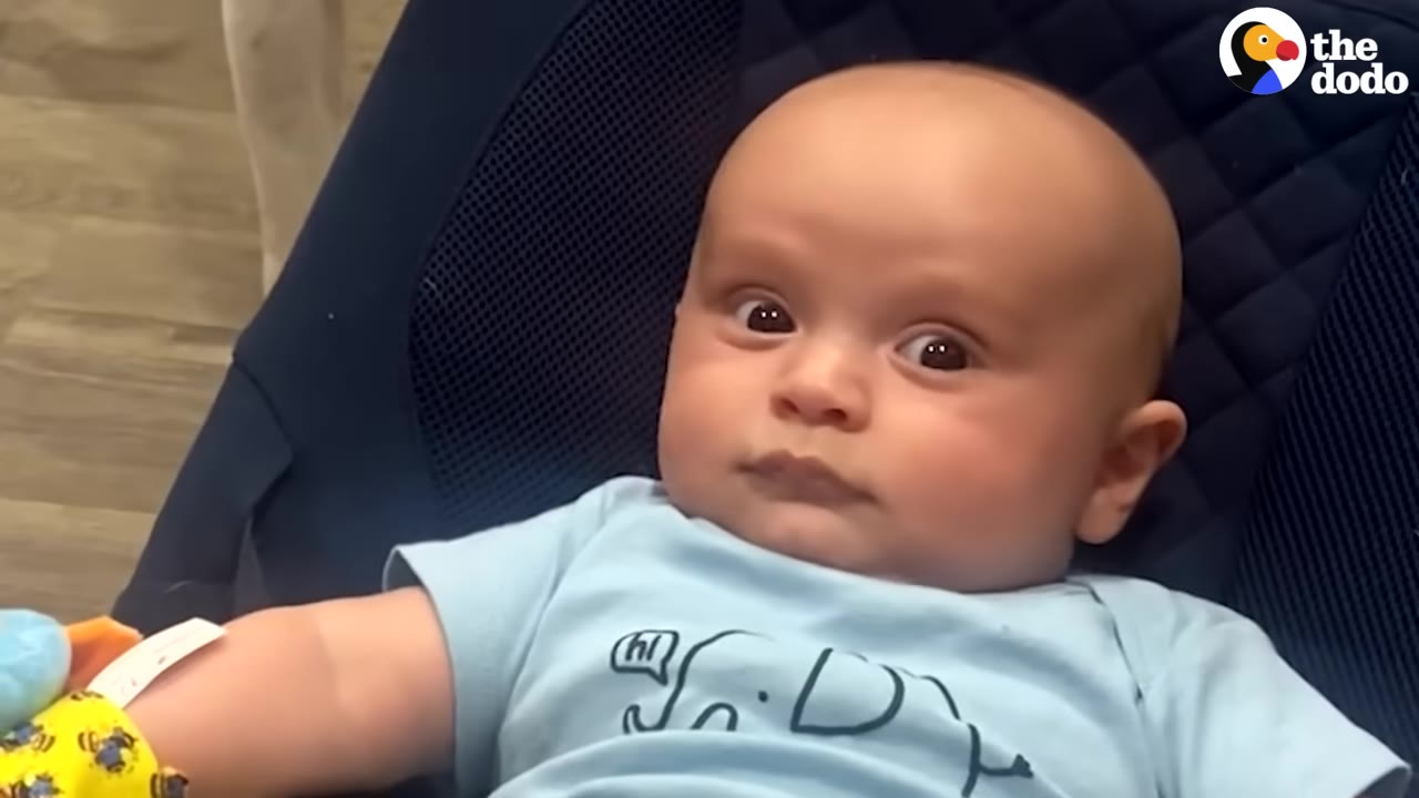 A close-up of a baby with wide, unsure eyes lying in a blue bouncer seat.