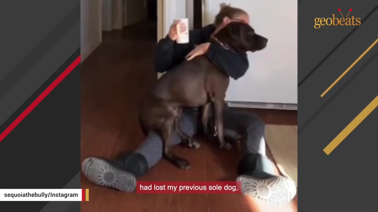 A woman sits on the floor hugging a brown dog, with a subtitle that reads 'had lost my previous sole dog,'.