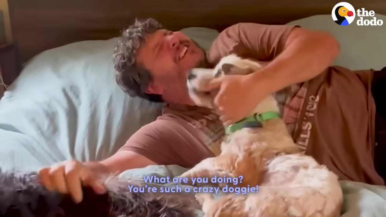 A smiling man lying in bed cuddles with a small, light-colored dog wearing a green collar.