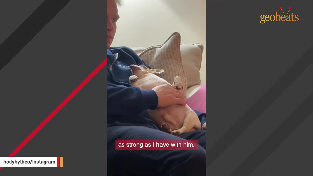 A man sitting on a couch with a small brown and white dog lying on its back in his lap, looking up at him while he gently rests his hand on the dog's chest.
