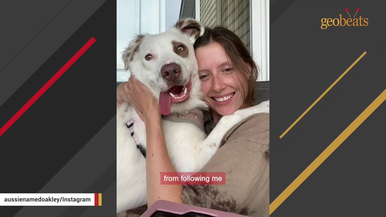 A smiling woman hugging a white dog with brown patches around its eyes and ears.