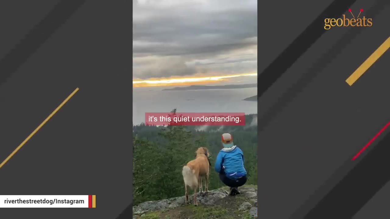 A light brown dog and a person wearing a blue jacket and a cap stand on a rocky mountain peak, looking out at a scenic view of water and distant hills under a cloudy sky.