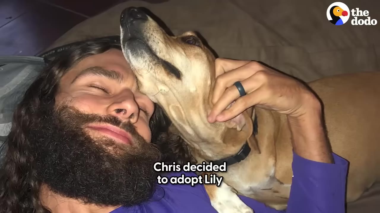 A close-up shot of a smiling man with a beard lying down as a light brown dog cuddles close to his face, with text overlay reading 'Chris decided to adopt Lily'.