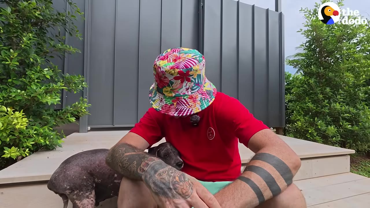 A man wearing a colorful floral bucket hat and a red shirt sits on a wooden deck, gently holding a small, hairless dog close to his chest.