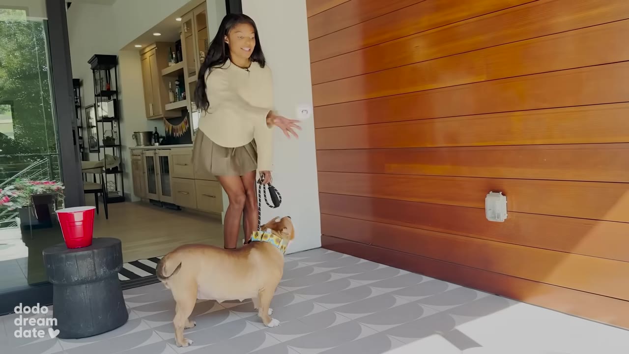 A woman in a beige sweater and skirt stands on a patio holding a dog leash, tossing a treat toward a red plastic cup while her dog watches.