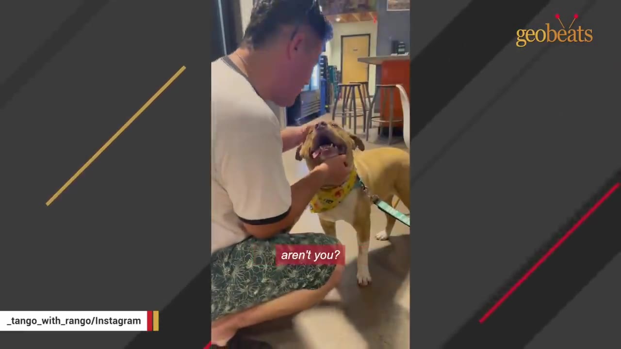 A man kneeling down to pet a light brown dog wearing a yellow bandana inside a restaurant.