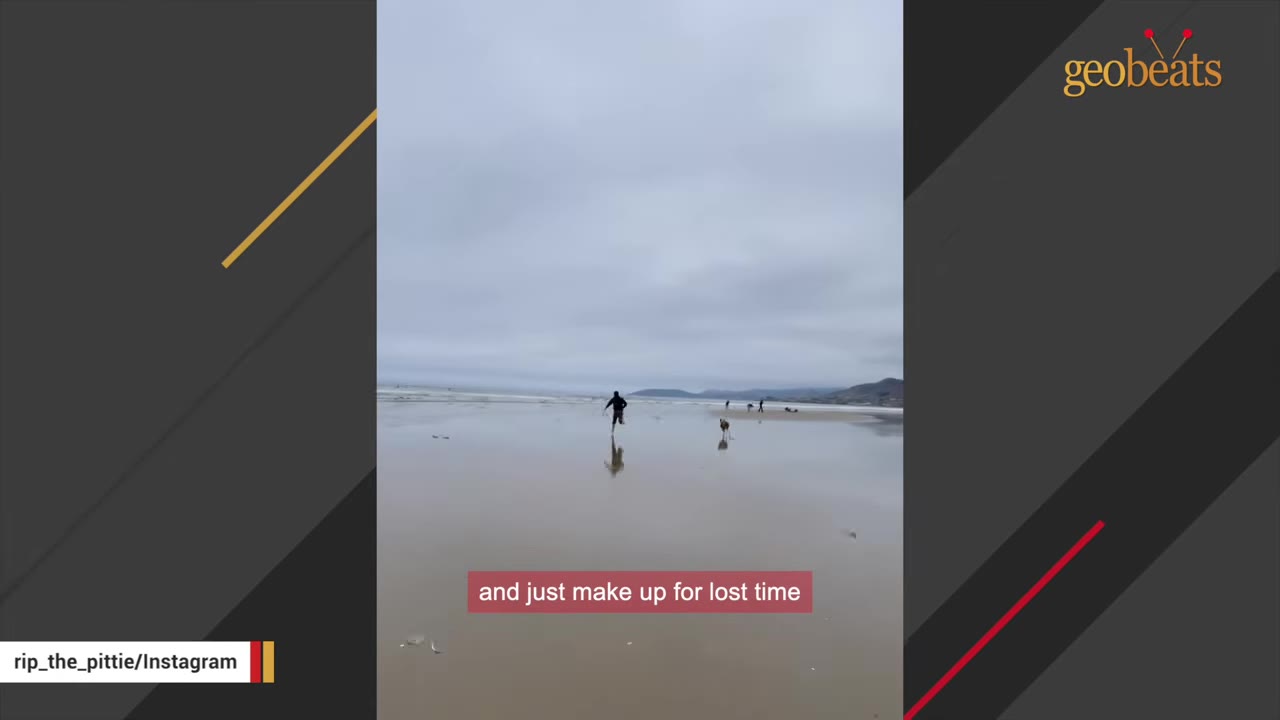 A person and a dog run together on a wide, wet sandy beach under an overcast sky.