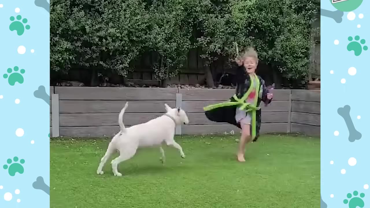 A white Bull Terrier runs playfully on a green lawn toward a young child wearing a robe.