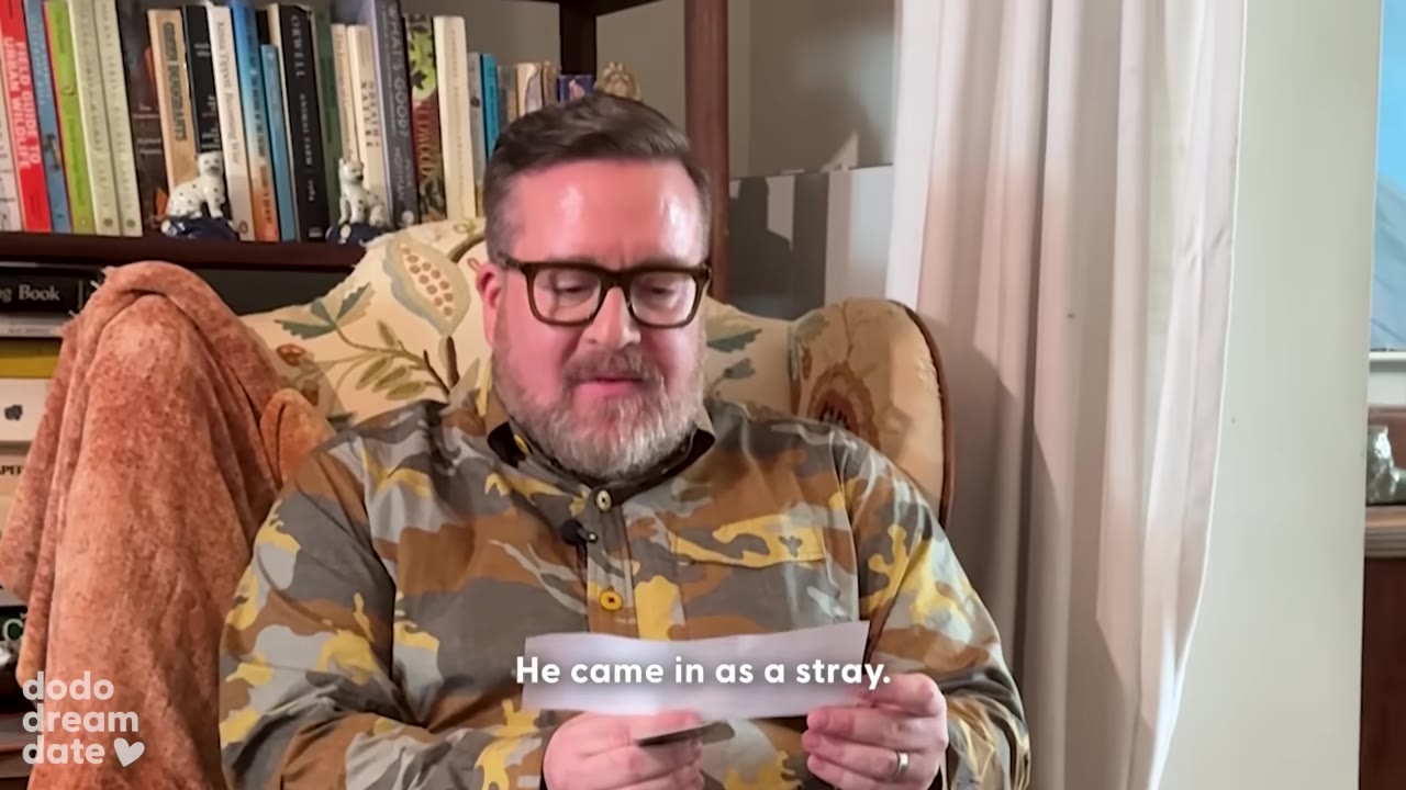 A man with glasses and a beard, wearing a camouflage shirt, sits in an armchair reading a slip of paper with the subtitle 'He came in as a stray.'