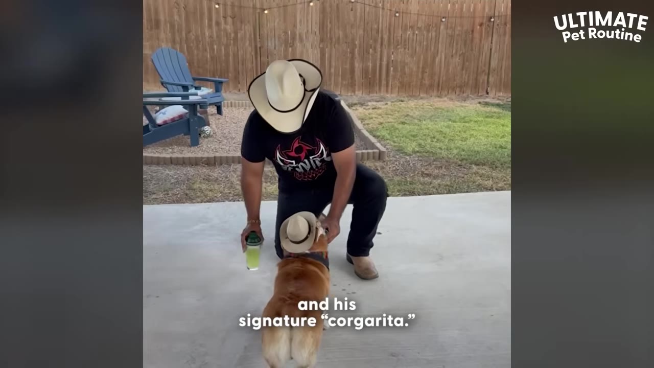 A man wearing a cowboy hat kneels on a concrete patio next to a Corgi wearing a small cowboy hat, holding a glass of green liquid.