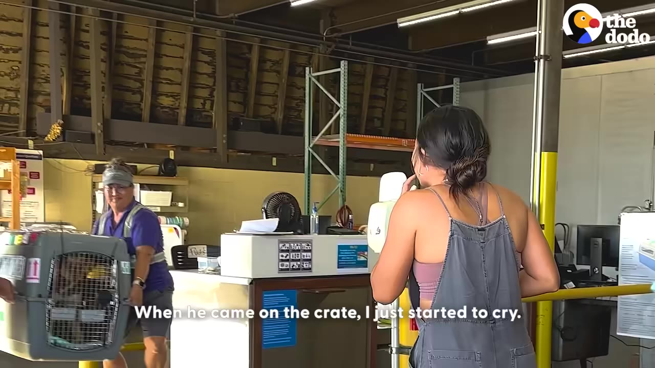 A woman in grey overalls stands in an airport cargo area, watching emotionally as an airport worker wheels out a large grey pet crate containing a dog.