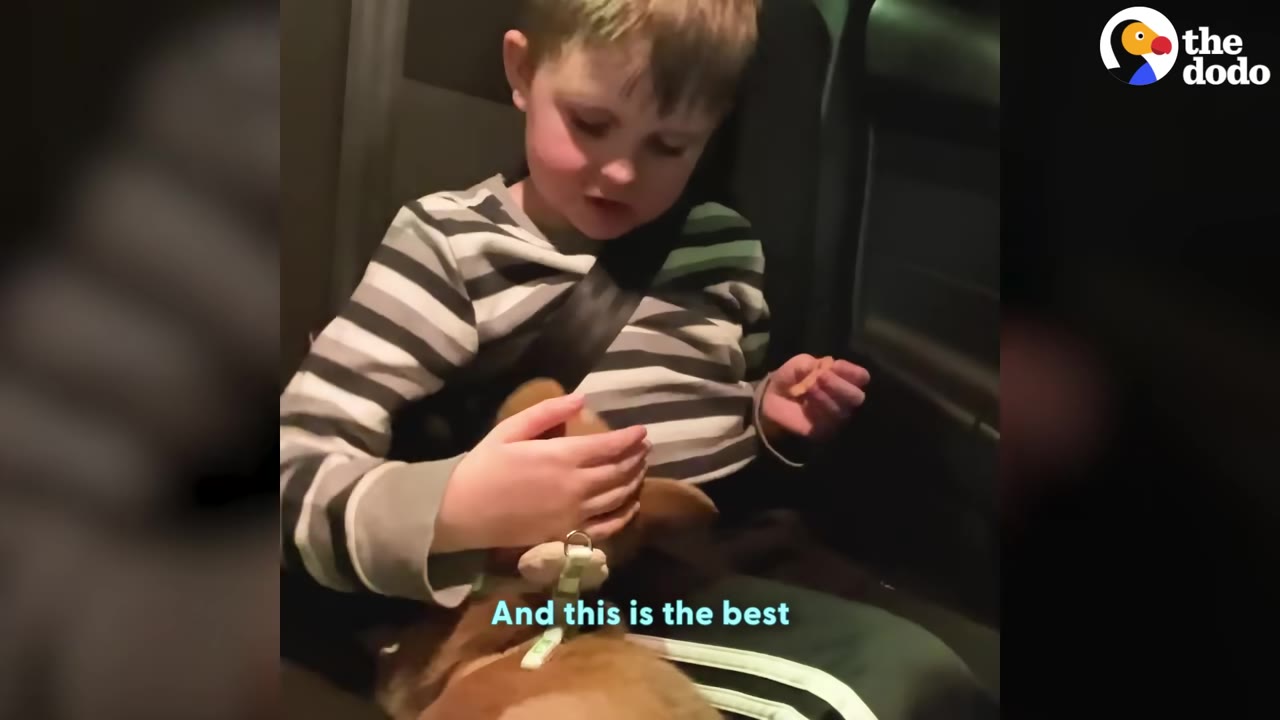 A young boy wearing a striped long-sleeve shirt sits in a car seat, gently cradling and petting a small brown puppy on his lap.