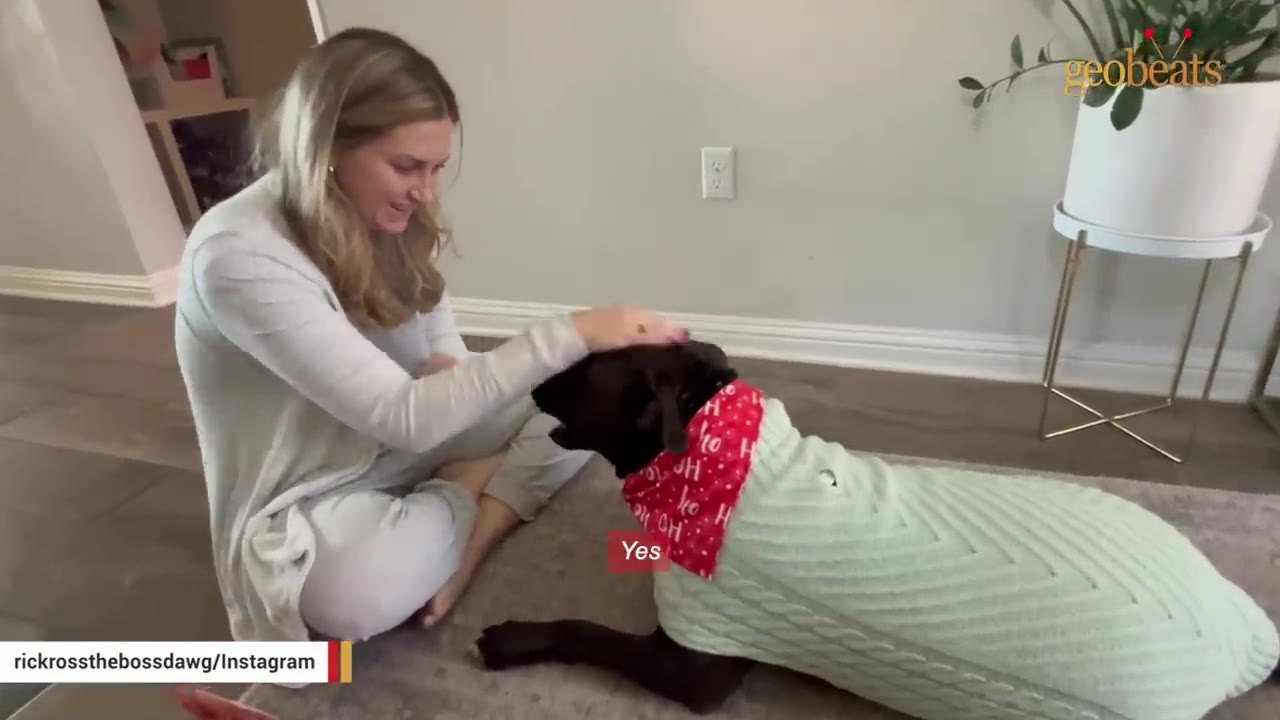 A woman sitting on the floor pets a black dog wearing a light green knit sweater and a red bandana.