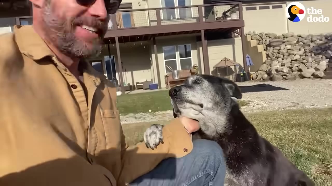 An older black and grey dog sits next to a man in a tan jacket, placing its paw gently on his arm.
