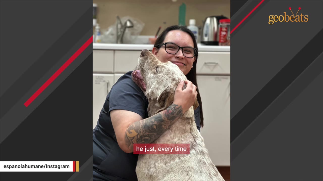 A smiling woman with glasses and a tattooed arm hugs a light-colored, speckled dog who is leaning affectionately against her shoulder.