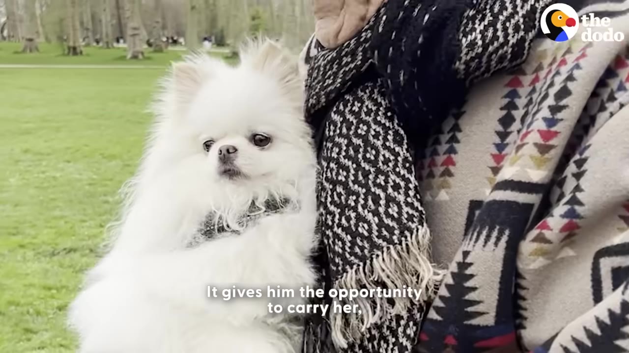 A fluffy white Pomeranian dog is held close by a person wearing a patterned scarf and coat in an outdoor park setting.