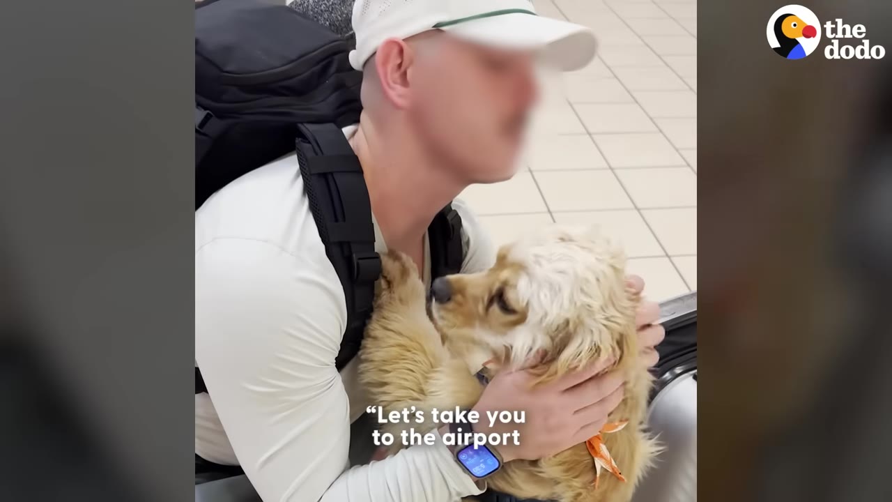 A man wearing a white cap and backpack hugs a fluffy, light-brown dog in an airport terminal.