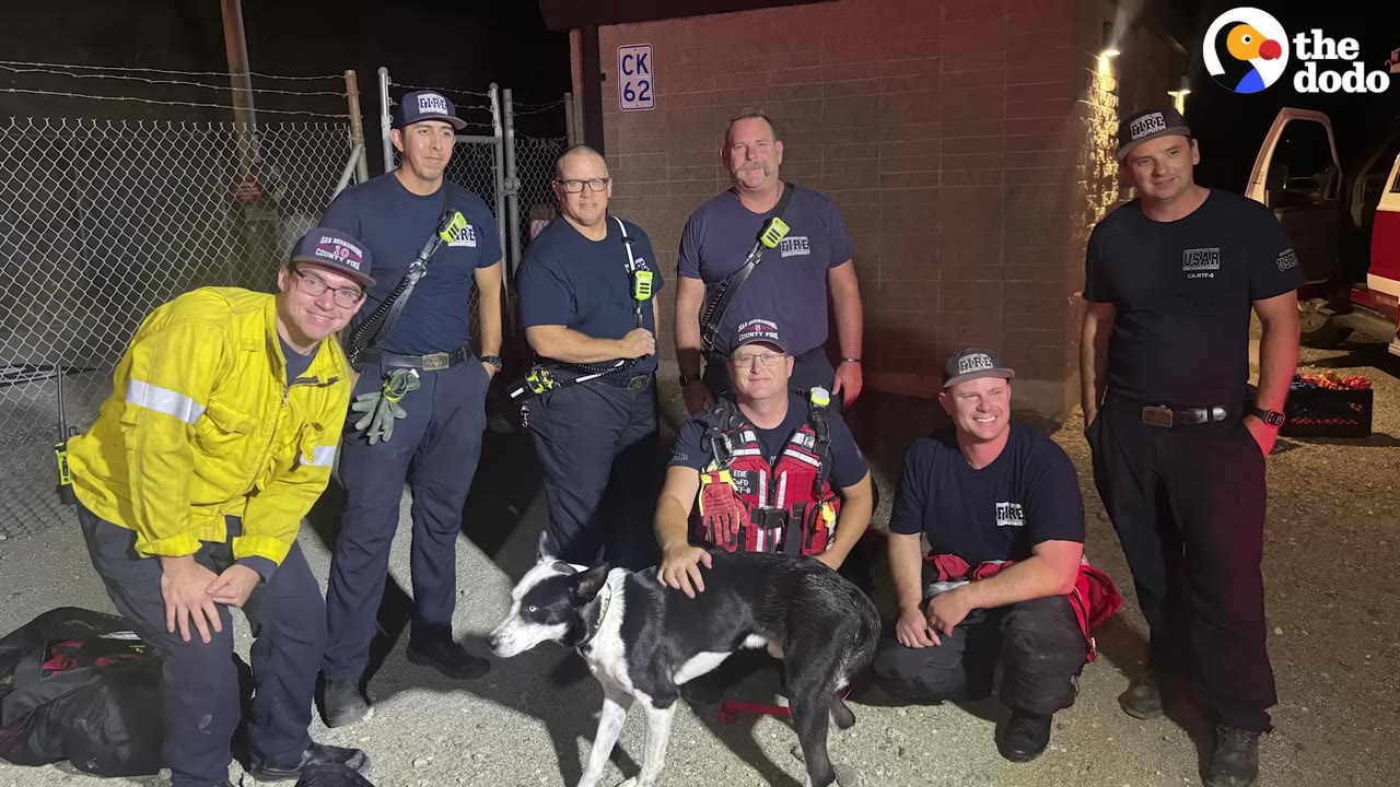 A group of firefighters posing at night with a black and white dog they rescued.