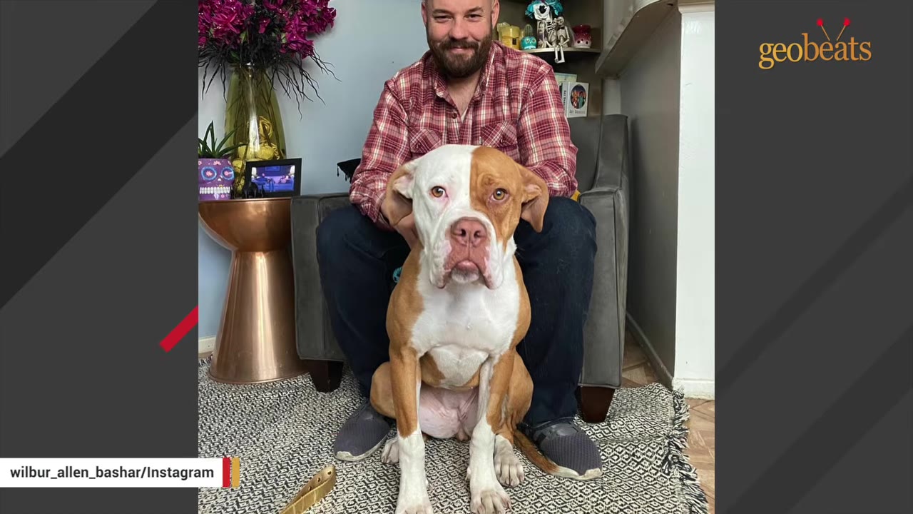 A man in a red plaid shirt sits in an armchair with a brown and white bulldog sitting in front of him on a patterned rug.