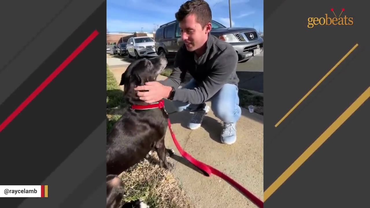 A man crouches on a sidewalk to pet a black dog wearing a red collar.