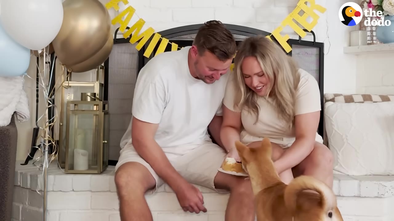 A smiling man and woman sit together on a brick hearth decorated with balloons, watching a tan puppy eat a treat from a plate.