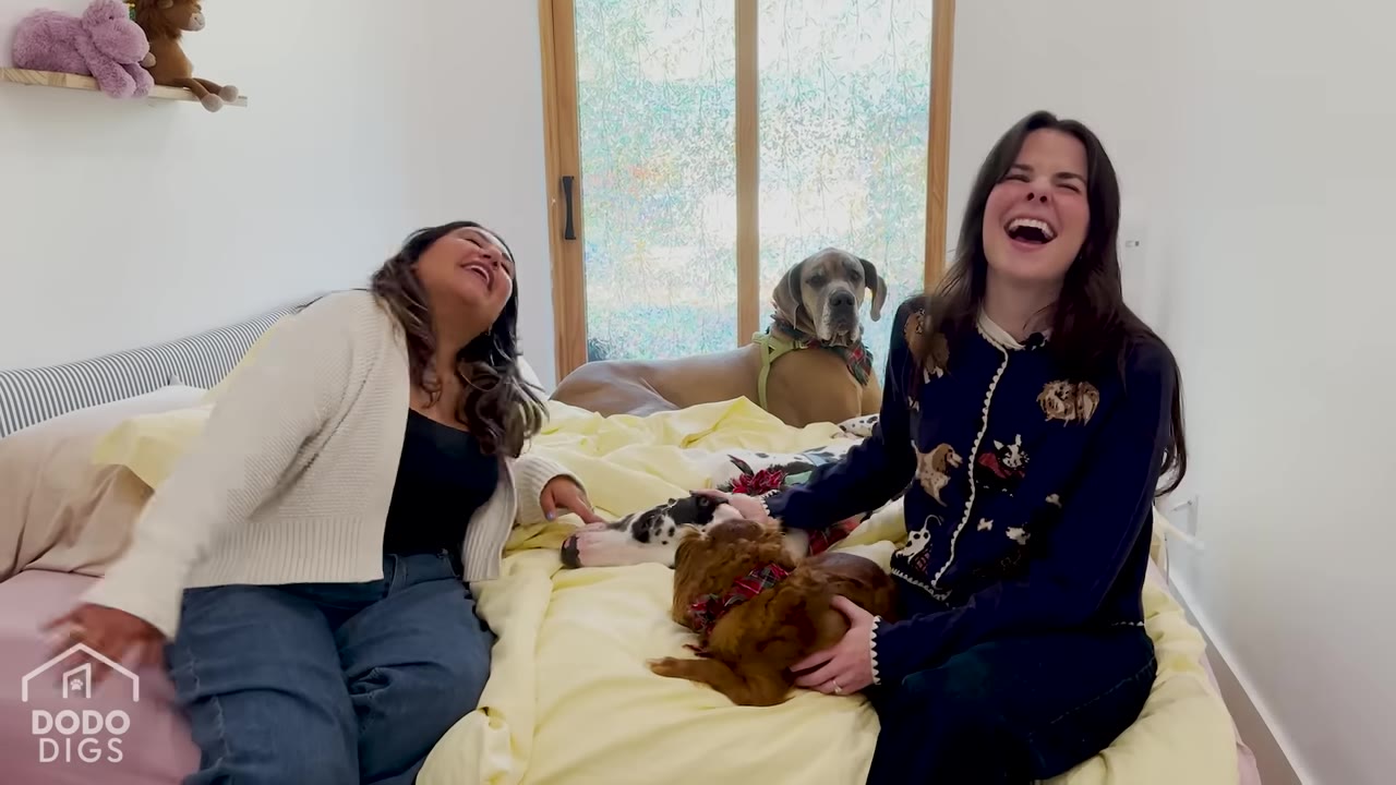 Two women sit on a large bed with three dogs, laughing heartily together.