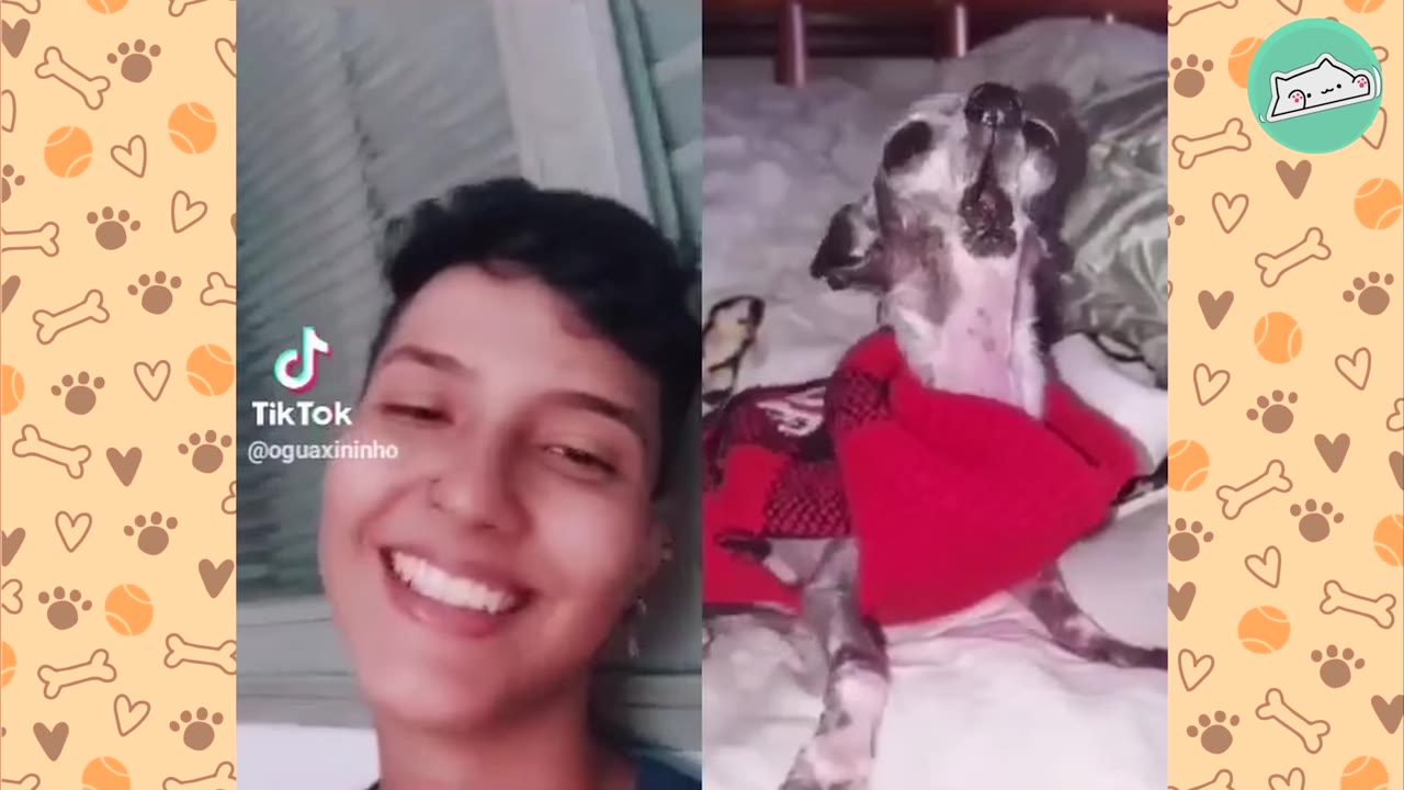 A split-screen image showing a smiling person on the left and a small, unique-looking dog wearing a red sweater on the right.