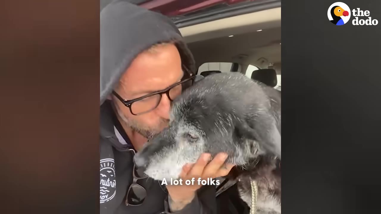 A man wearing glasses and a black hooded sweatshirt kisses a senior black dog with a grey muzzle on the head.