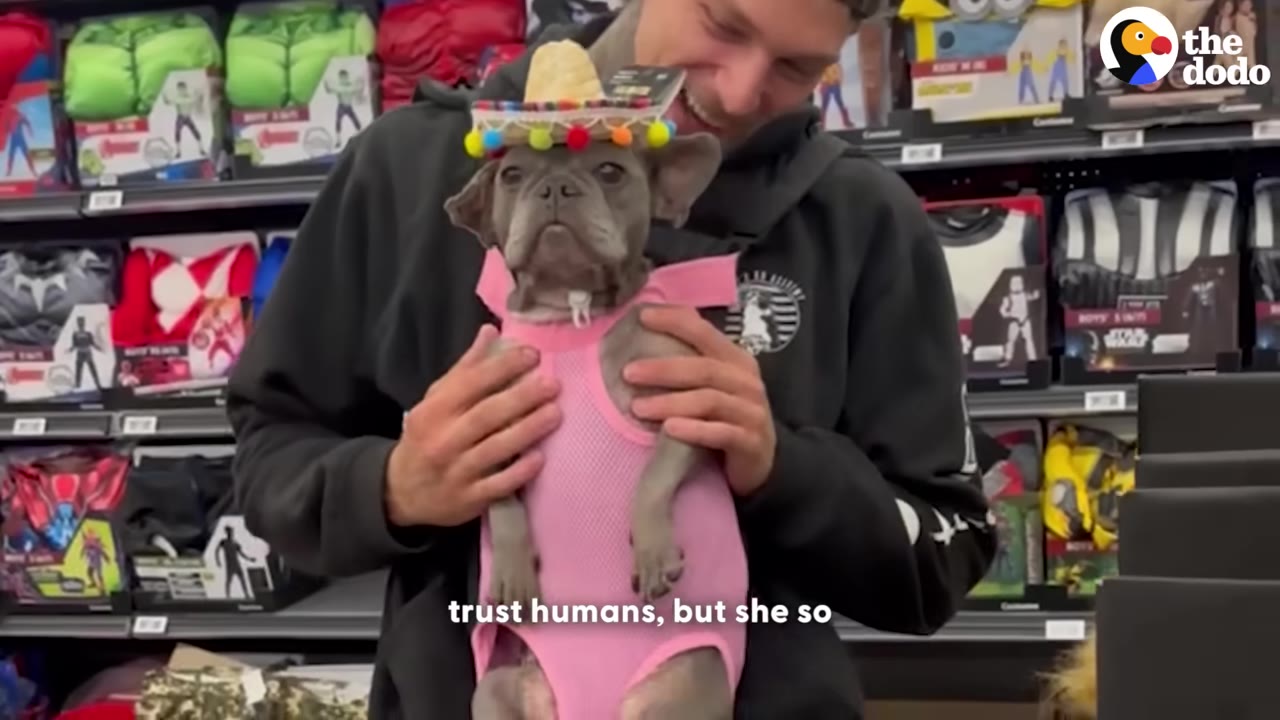 A man smiles as he holds a small grey French Bulldog wearing a pink outfit and a tiny straw sombrero with colorful pom-poms.