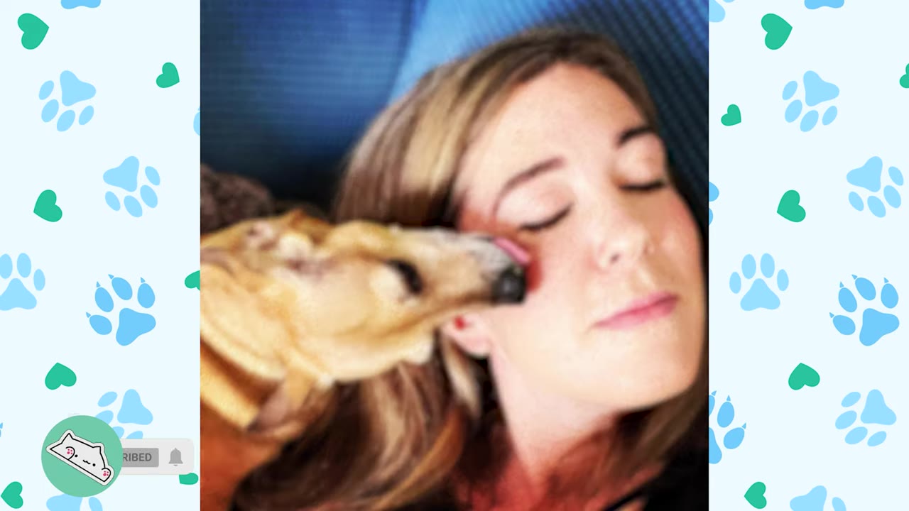A close-up shot of a small tan dog licking the cheek of a woman with her eyes closed, showing their close bond.