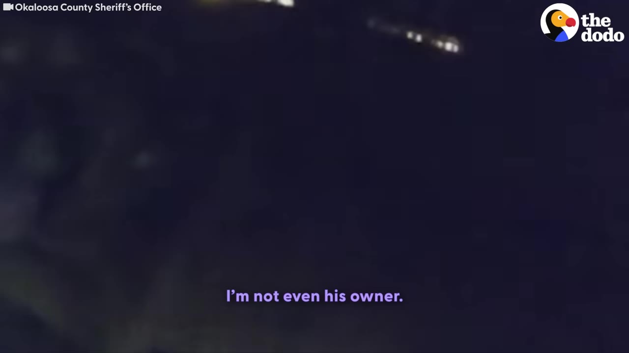 A dark night scene with a subtitle that reads, 'I'm not even his owner.'