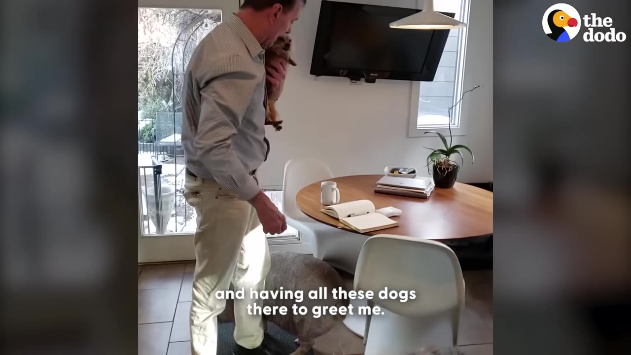A man in a striped shirt and light-colored pants stands in a dining area holding a small brown dog, while a large pig stands near his feet.