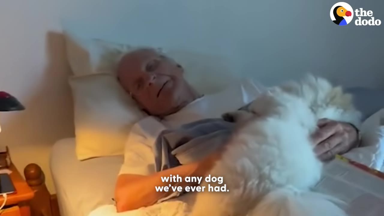 An elderly man lies in bed, smiling as a fluffy white dog cuddles on his chest.