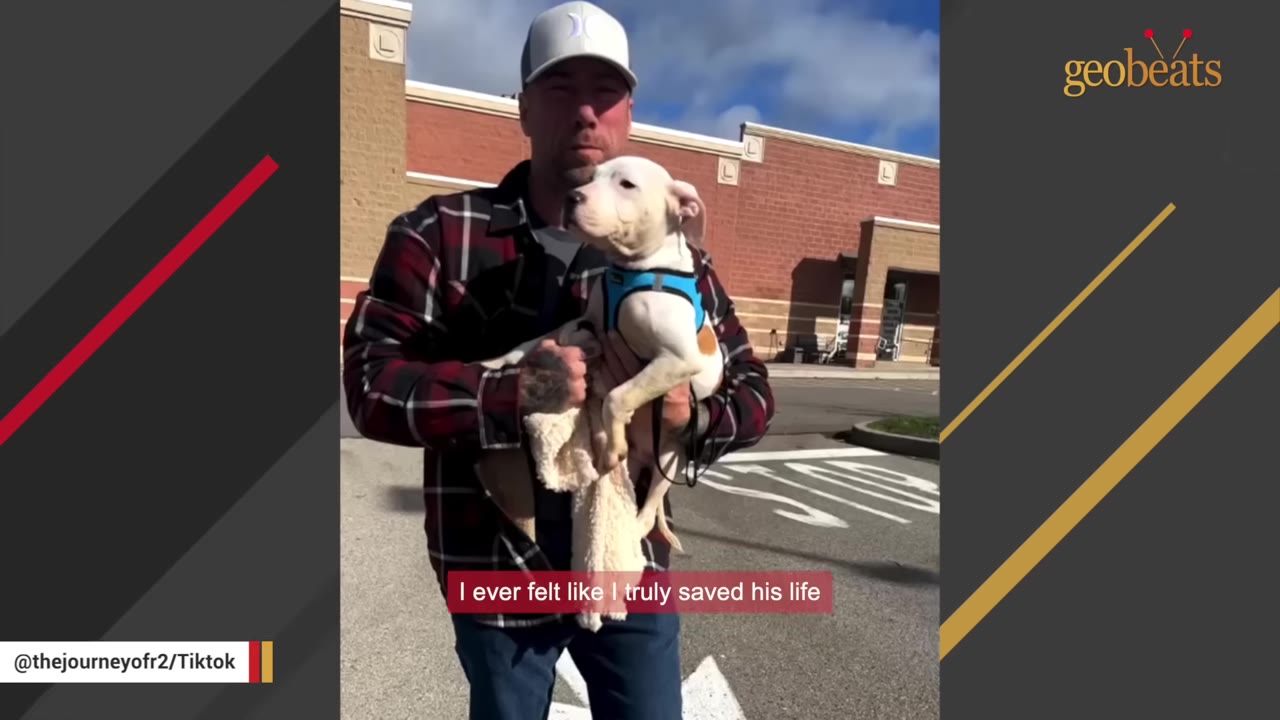 A man wearing a plaid shirt and a baseball cap holds a white puppy wearing a blue harness in his arms in a parking lot.