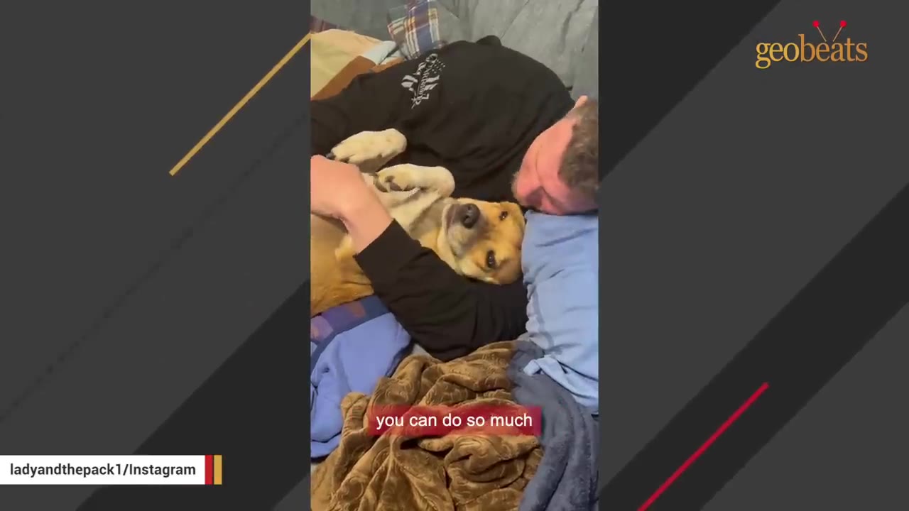 A tan dog lies on its back on a bed, cuddling with a person who is hugging and petting her.