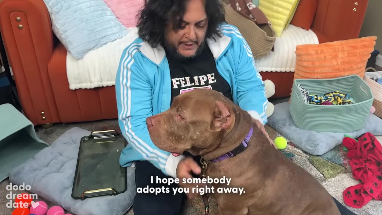 Felipe Esparza sits on the floor next to a brown dog with a purple collar, gently petting it while looking down at it.