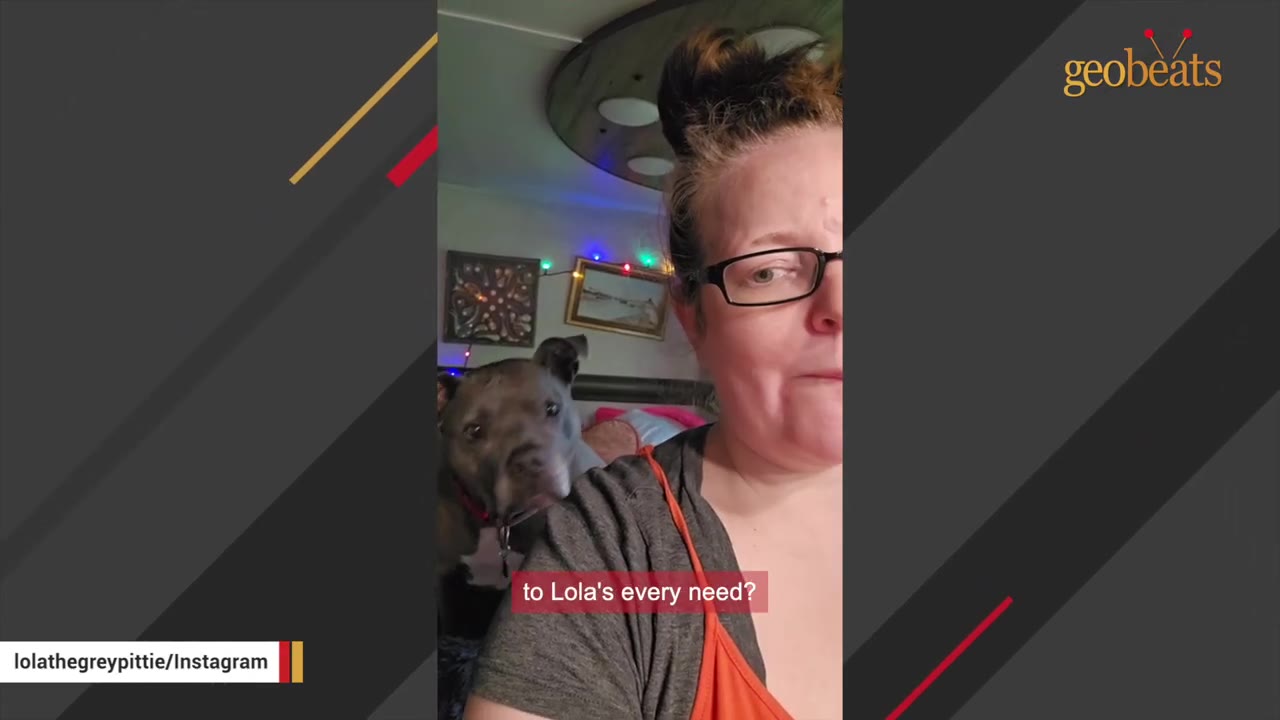 A woman with glasses and her hair in a bun smiles next to a grey pit bull looking over her shoulder.