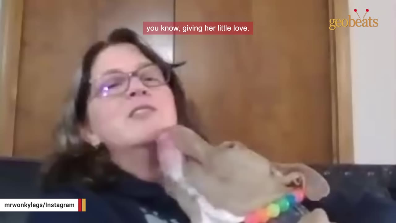 A tan dog wearing a colorful collar licks the chin of a woman wearing glasses.