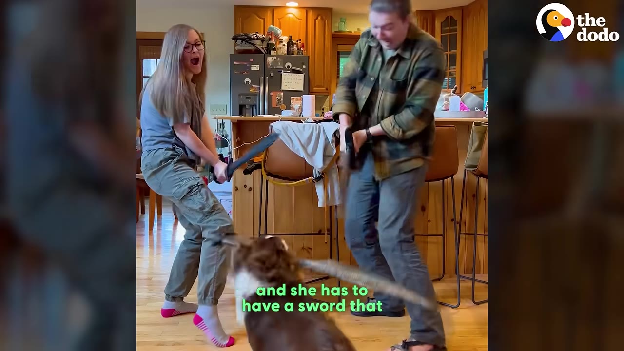 A woman and a man playfully brandishing toy swords in a kitchen while a brown and white dog holds a toy sword in its mouth.