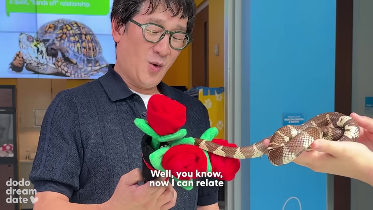 A man wearing glasses looks warmly at a small brown and white snake being held near a bouquet of plush red roses.