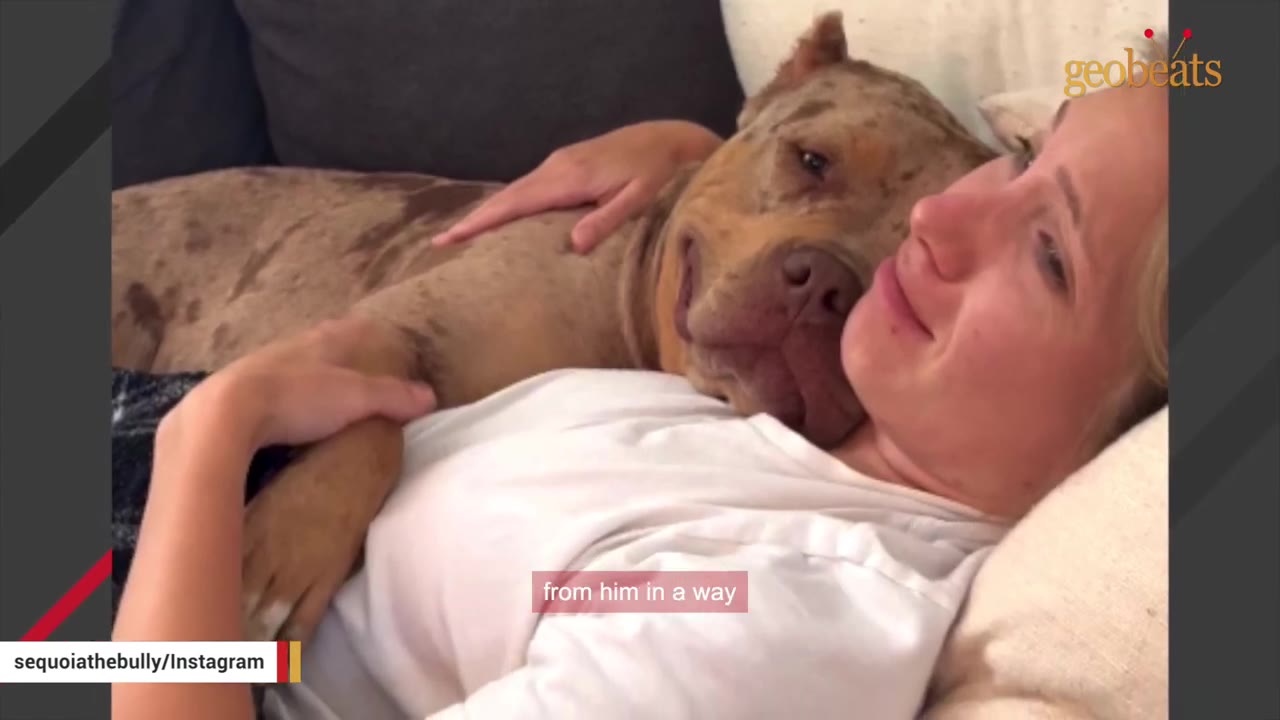 A woman lying down with a large, light-brown brindle dog resting its head gently on her shoulder.