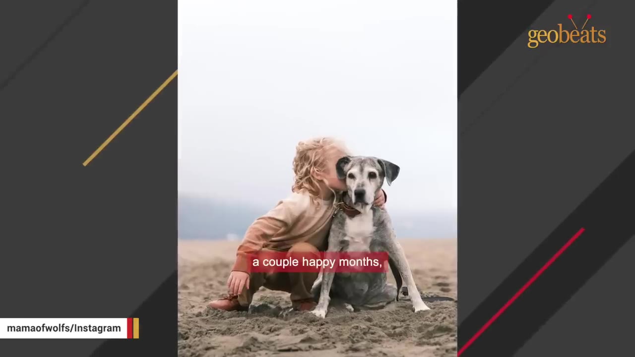 A young child with curly blonde hair hugging a senior greyhound dog on a sandy beach under a pale sky.