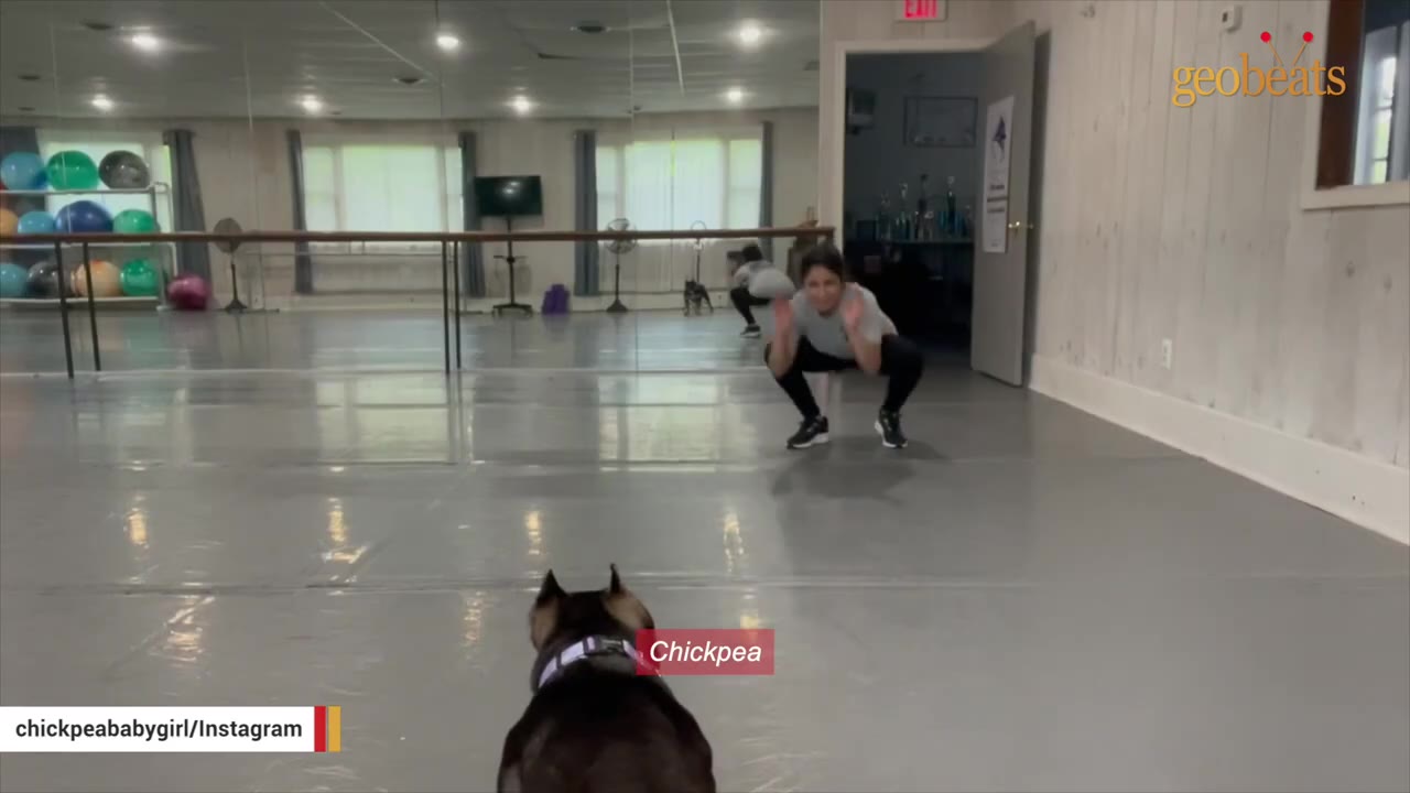 A dark-colored dog named Chickpea sits in a dance studio, looking towards a woman squatting in front of a mirror.