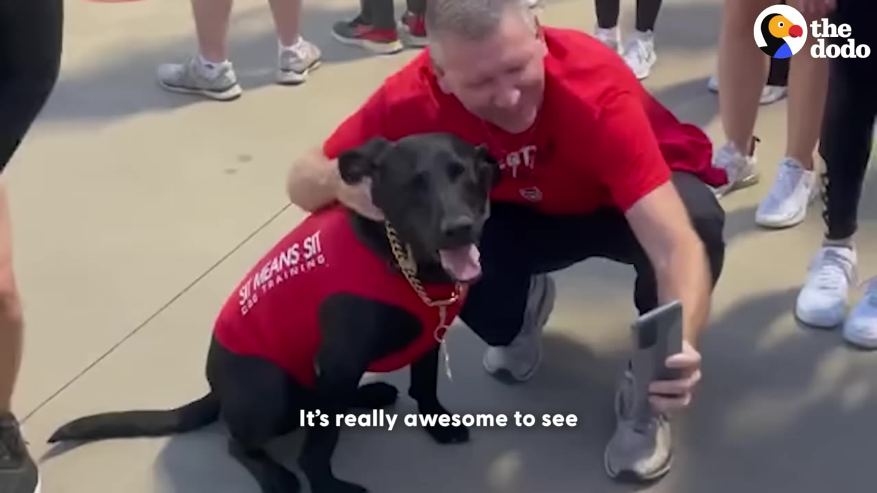 A man in a red shirt crouches down to take a selfie with a black dog wearing a red vest that says 'Sit Means Sit Dog Training'.