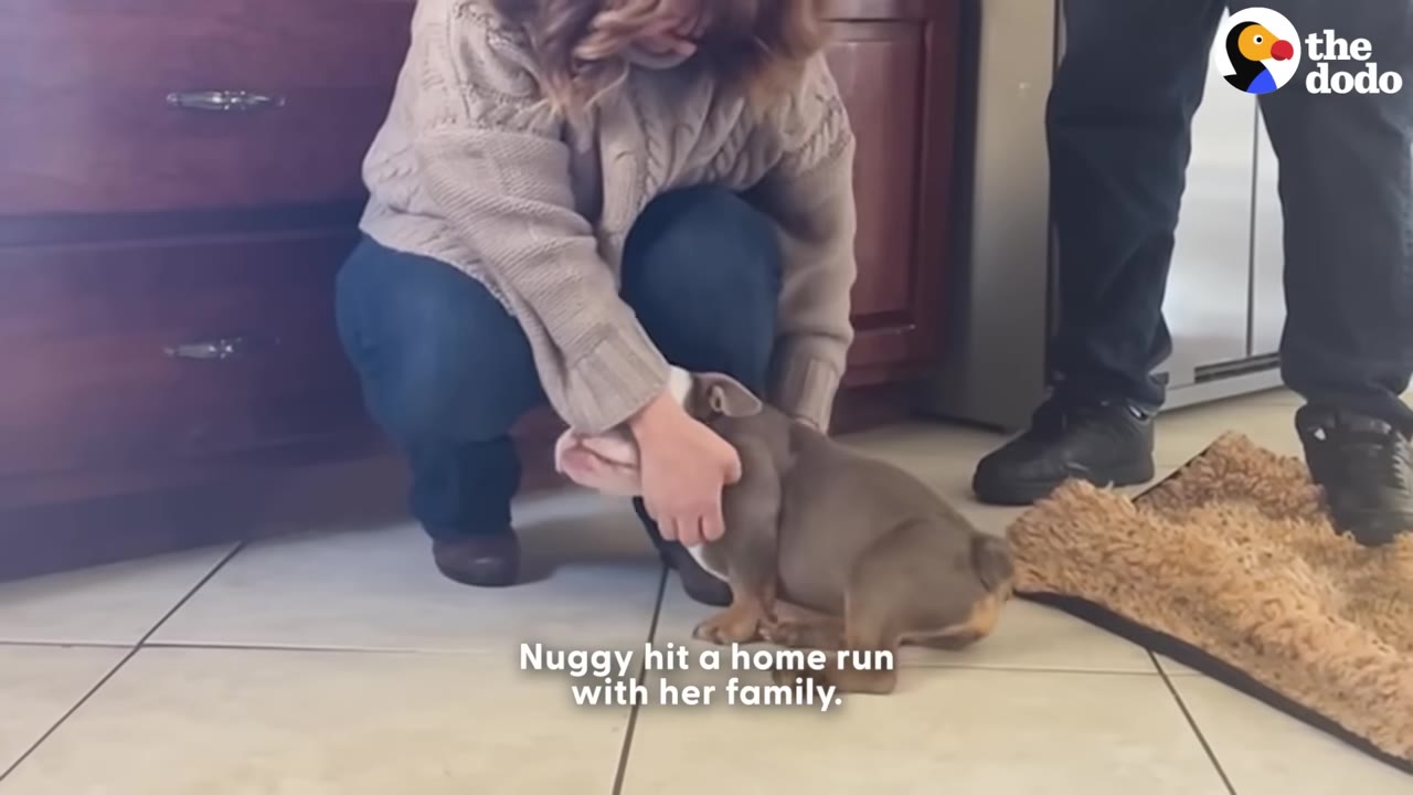 A woman in a beige sweater kneels on a tiled floor to pet a small brown and white puppy, while another person stands nearby.