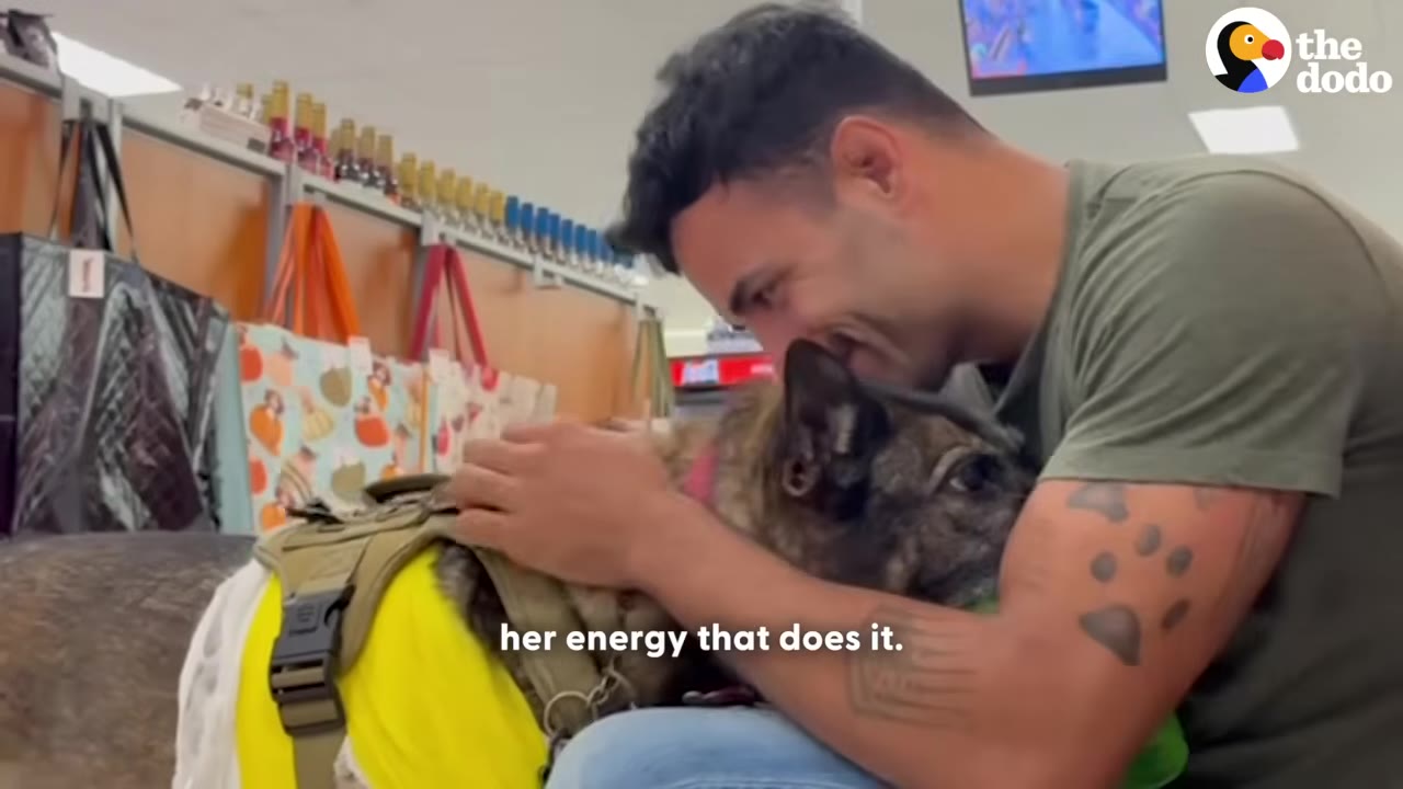 A man in a green t-shirt smiles as he hugs a dog wearing a yellow vest inside a store with shopping bags visible in the background.
